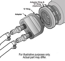 Load image into Gallery viewer, 15705-Illustration.jpg