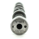 btr-gz231camback.jpg