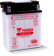 Yuasa YB12C-A Yumicron 12-Volt Battery