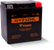 Yuasa GYZ32HL High Performance Maintenance Free AGM 12-Volt Battery