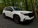 Rally Armor 25-26 Subaru Forester &amp; Hybrid Black UR Mud Flap w/Metallic Black Logo