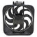 67029_back.jpg