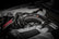 ci100037-a_012.jpg
