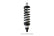 Single Adjustable_Bearing Mount_Hero with Spring.jpg