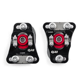CC Plates CC110, Pair, Top View.jpg
