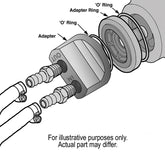 15746-Illustration.jpg