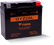 Yuasa GYZ20L High Performance Maintenance Free AGM 12-Volt Battery