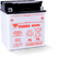 Yuasa YB30CL-B Yumicron CX 12-Volt Battery