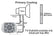 15900-Illustration.jpg