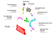 ms100196_014.png