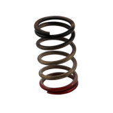 Turbosmart Gen-V WG40/45 HP 40 PSI Spring Upgrade - Black/Red