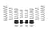Eibach Pro-UTV 18-20 Polaris RZR XP 4 1000 Turbo 4-Seat Stage 3 Performance Springs - Set of 8