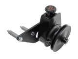 Borgeson Saginaw P/S Pump Upgrade; Ford FE 390/428; Includes Pump; Bracket and Pulley 800336