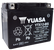 Yuasa YTX12-BS Maintenance Free AGM 12-Volt Battery w/Bottle