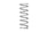Eibach 00-03 Honda CR125 EMS Rear Spring Kit