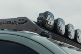 Photo - Close Up