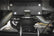 Air Spring Kit | Mercedes-Benz Sprinter 3500 (19-22)/Sprinter 3500XD (19-25) 