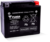 Yuasa YTX20HL Maintenance Free AGM 12-Volt Battery