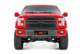 Mesh Grille | Ford F-150 2WD/4WD (2015-2017)