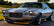 holleygraywindshielddecal_cropped.jpg