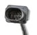 holleywb02plug_03.jpg