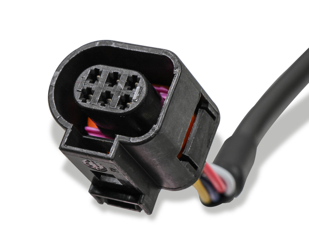 holleywb02plug_05.jpg