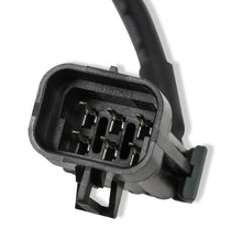 Load image into Gallery viewer, holleywb02plug_06.jpg