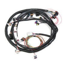 Load image into Gallery viewer, largemainharness558_104.jpg