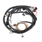 Universal MPFI Main Harness for HP EFI & Dominator EFI 558-104