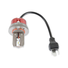 Load image into Gallery viewer, lfrb05_02.jpg