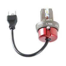 Load image into Gallery viewer, lfrb05_04.jpg