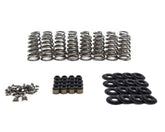 Brian Tooley Racing BTR GEN V LT CONICAL SPRING KIT - .650" LIFT - SK013 SK013