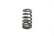 Brian Tooley Racing BTR LS6 BEEHIVE VALVE SPRING - .560" LIFT - SOLD INDIVIDUALLY - SP011-1 SP011-1