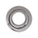 Manley Manley Valve Spring, SPRING-1.560 DOUBLE 221442-16
