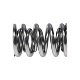 Manley Manley Valve Spring, SPRING-1.560 DOUBLE 221442-16
