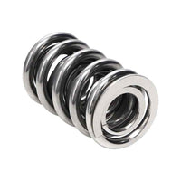Manley Manley Valve Spring, SPRING-1440 POLISHED 221440P-16