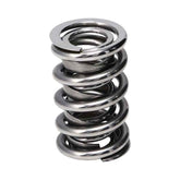 Manley Manley Valve Spring, SPRING-1440 POLISHED 221440P-16