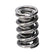 Manley Manley Valve Spring, SPRING-1440 POLISHED 221440P-16