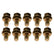 Manley_42179_BAC_ZZ1.jpg