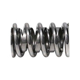 Manley Manley Valve Spring, SPRING-1440 POLISHED 221440P-16