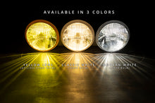 Load image into Gallery viewer, round_3wide_lit.jpg