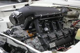 scamp_hi-ram_01.jpg