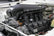 scamp_hi-ram_01.jpg