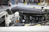 scamp_hi-ram_02.jpg