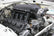 scamp_hi-ram_04.jpg