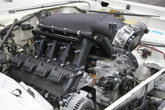 scamp_hi-ram_04.jpg