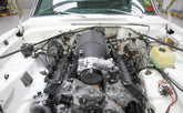 scamp_hi-ram_05.jpg
