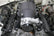 scamp_hi-ram_06.jpg