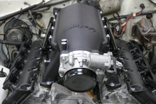 Load image into Gallery viewer, scamp_hi-ram_06.jpg