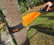 tree saver action shot v2.jpg